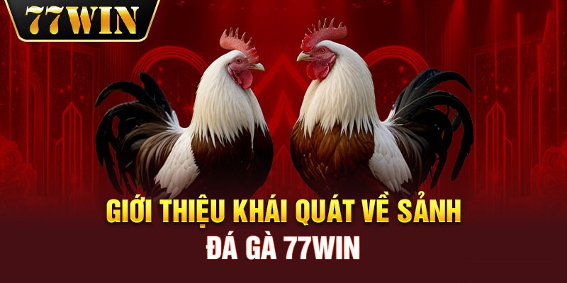 Đôi nét về thế giới đá gà trực tuyến tại 77Win